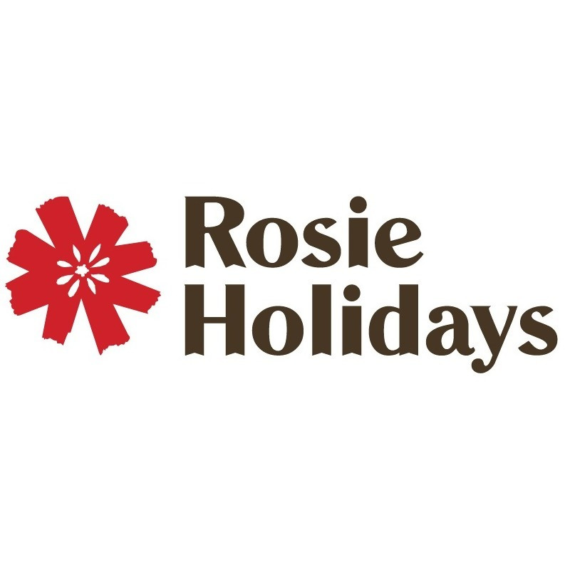 Image result for Rosie DMC