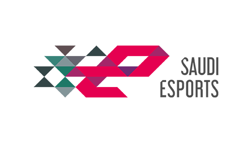 Image result for Saudi eSports Federation