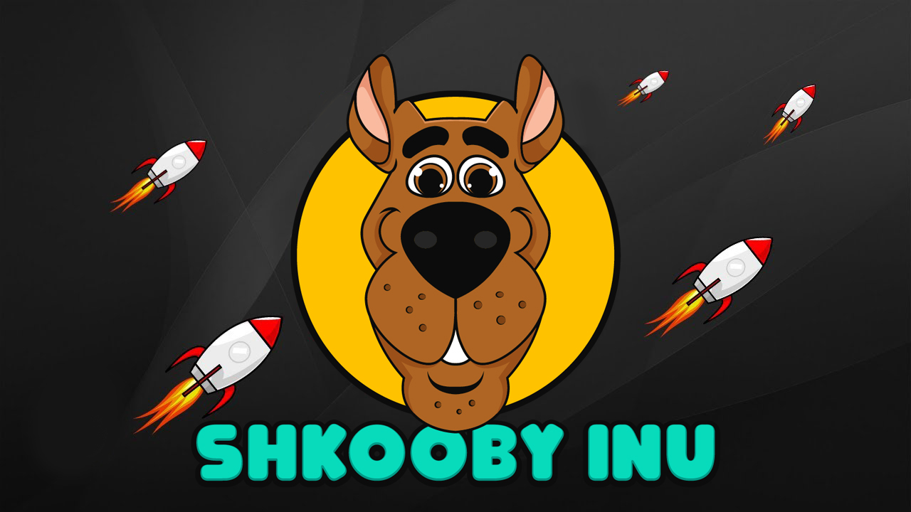 Image result for SHKOOBY INU