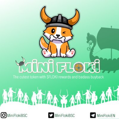 Image result for Mini Floki