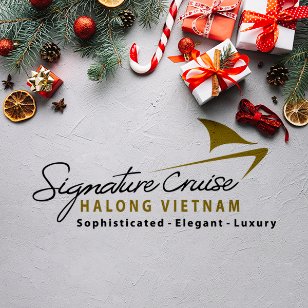 Image result for SIGNATURE HALONG CRUISE (Signature Cruise)