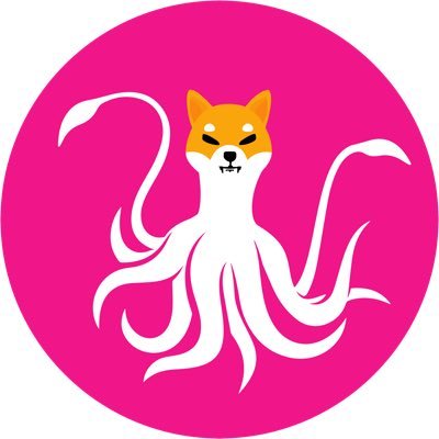 Image result for Squid Inu