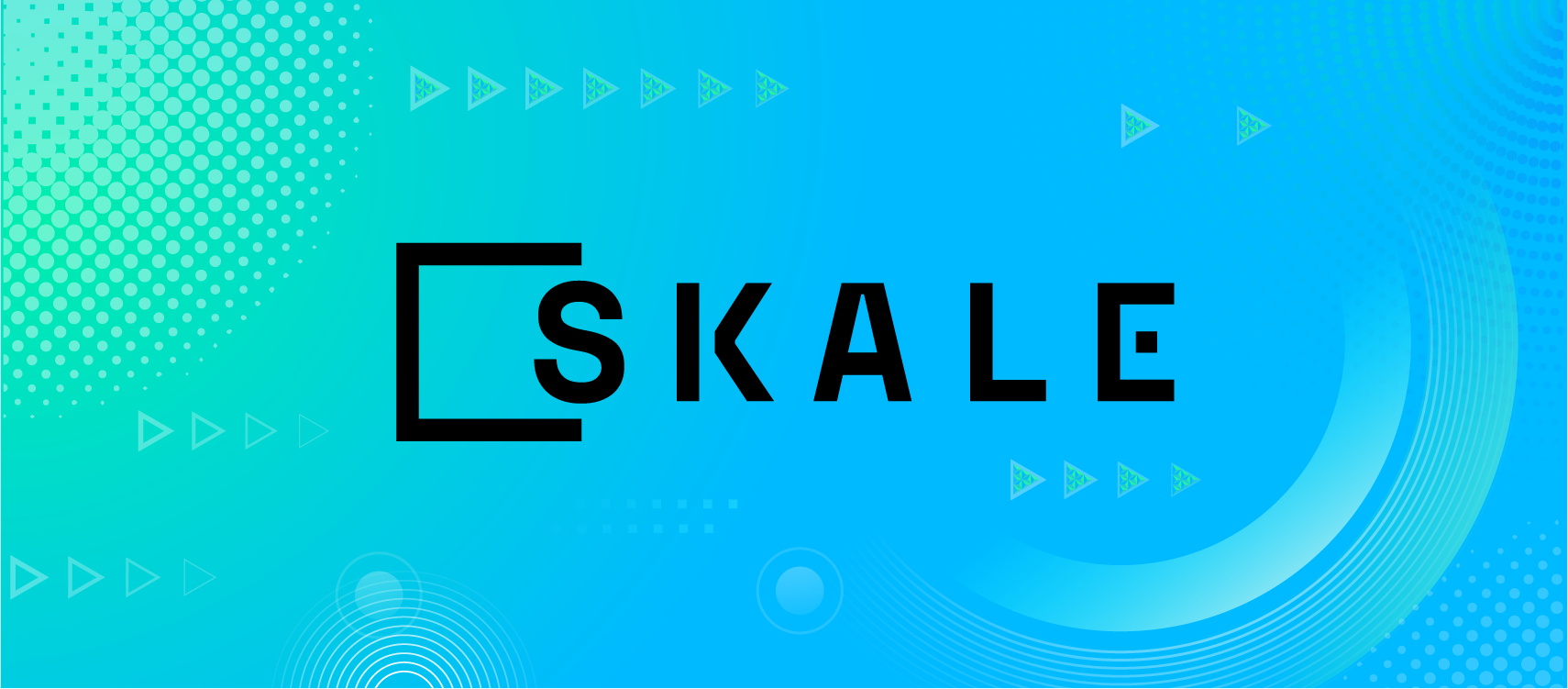 Image result for SKALE Network