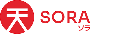 Image result for SORA