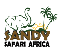 Image result for Sandy Safari Africa