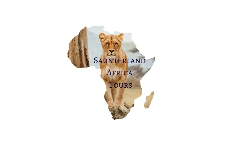 Image result for Saunterland Africa Tours