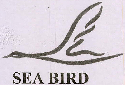 Image result for Sea Bird Seaplane