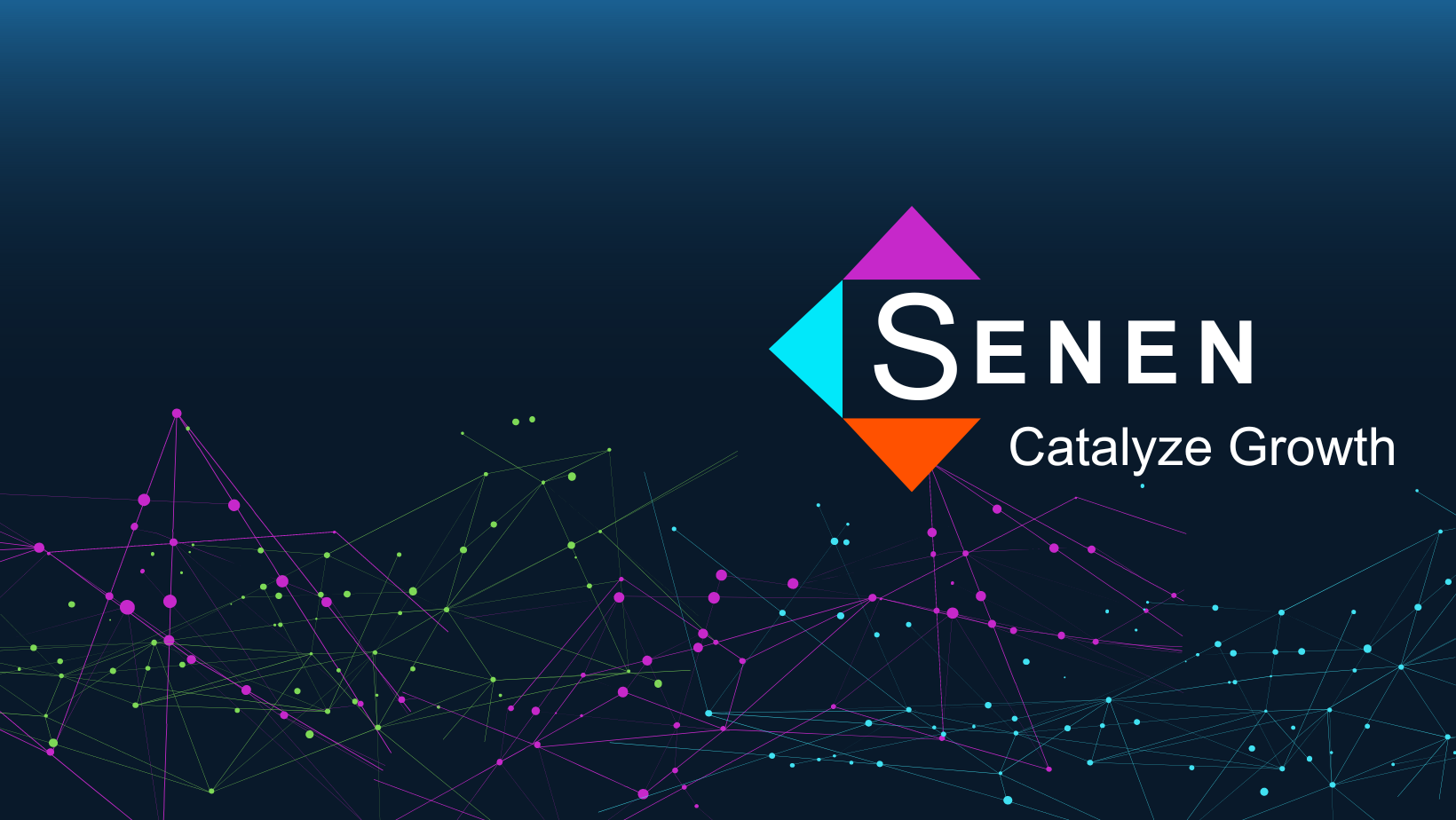 Image result for Senen Group