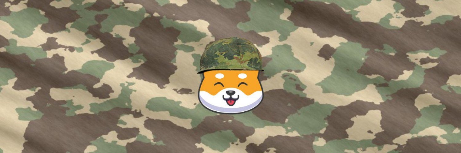 Image result for Shib Army