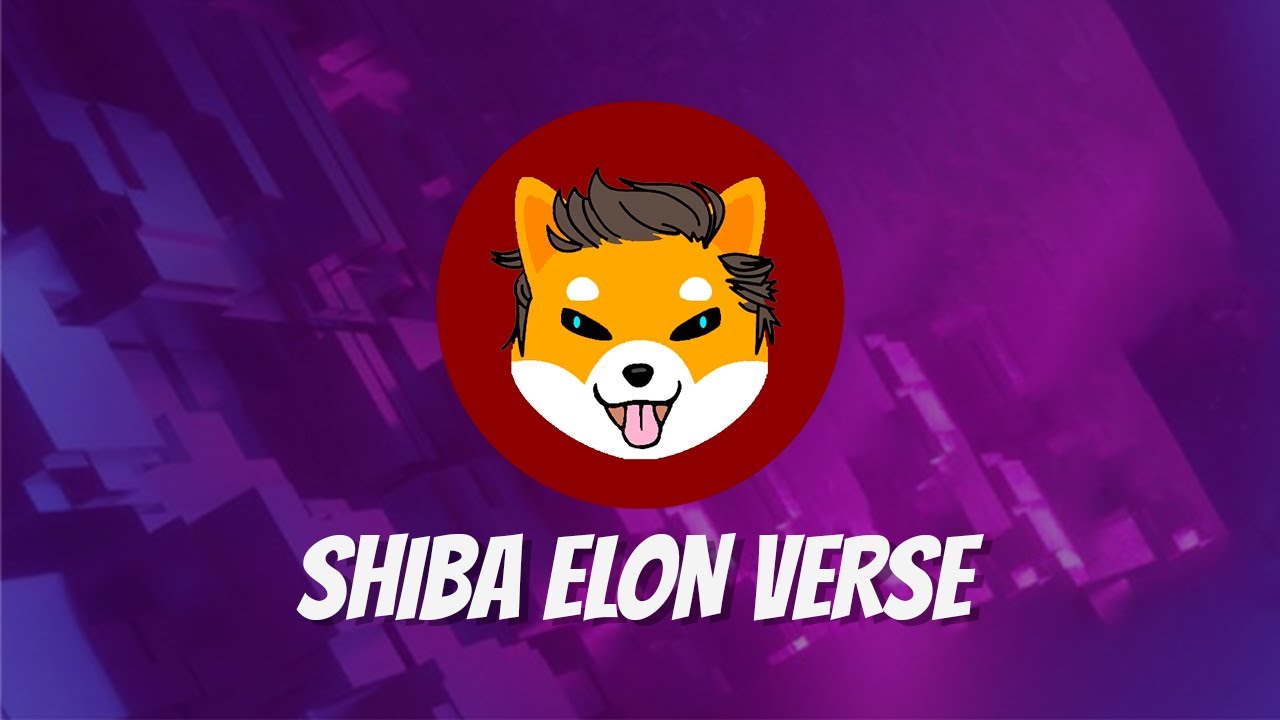 Image result for Shiba Elon Verse