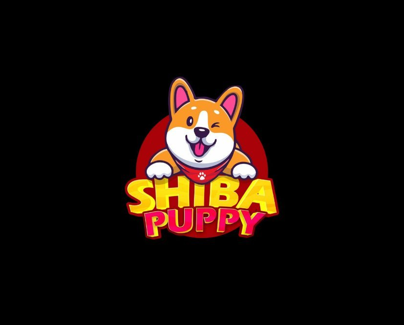 Image result for Shiba Puppy