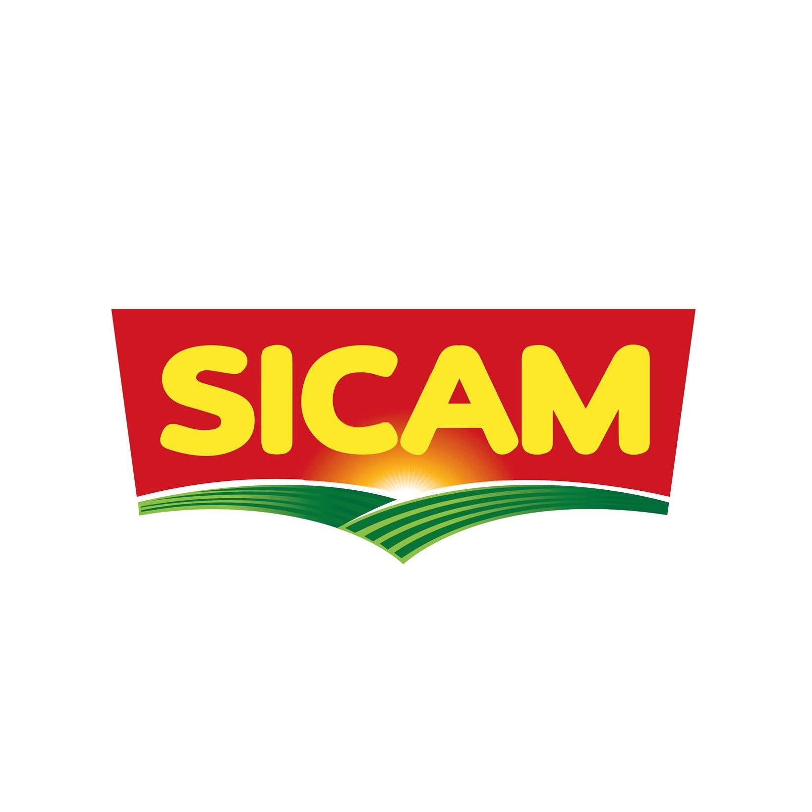 Image result for Sicam