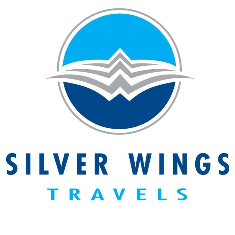 Image result for Silver Wings