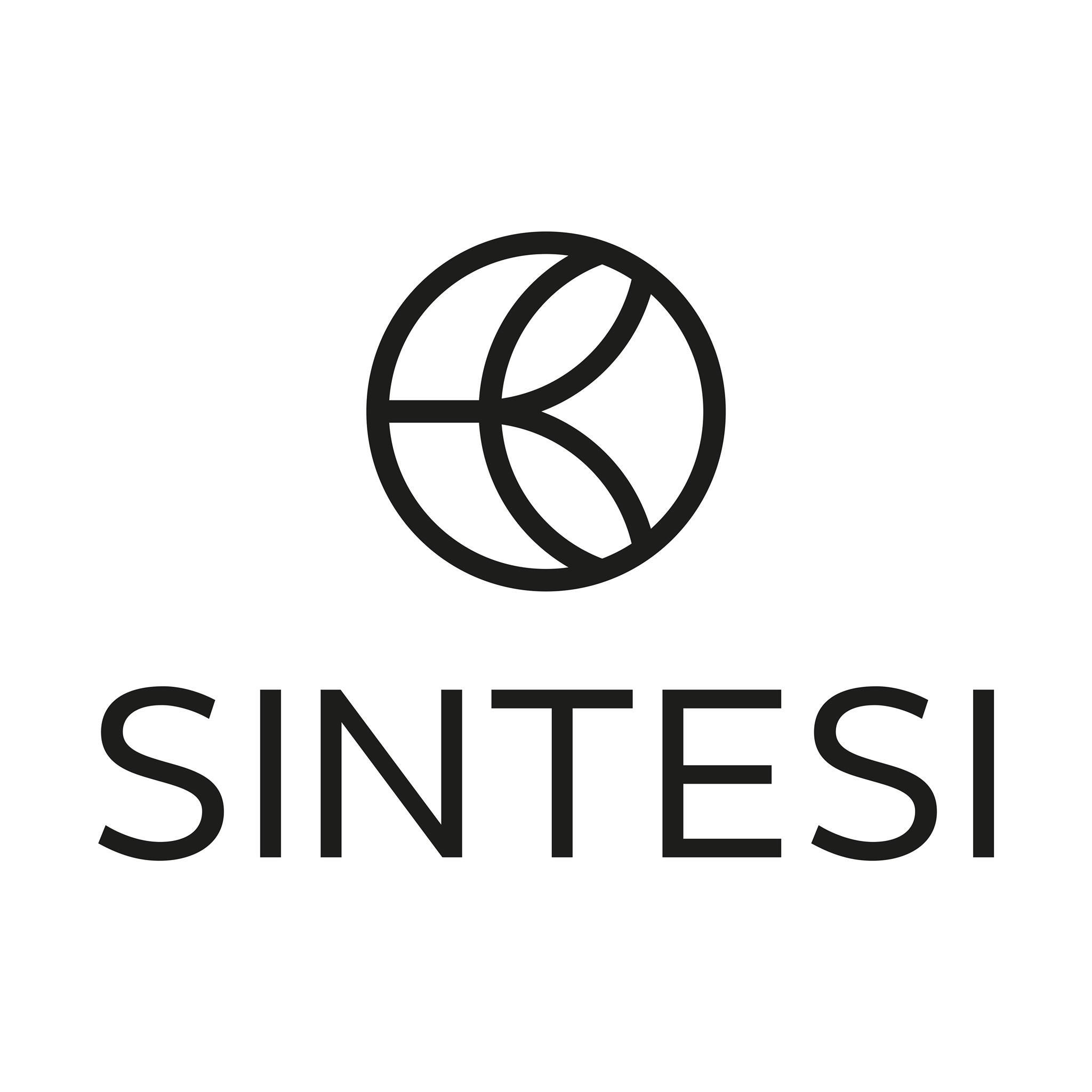 Image result for Sintesi