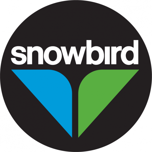 Image result for Snowbird