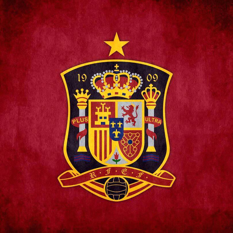 Image result for Spanish Football Association