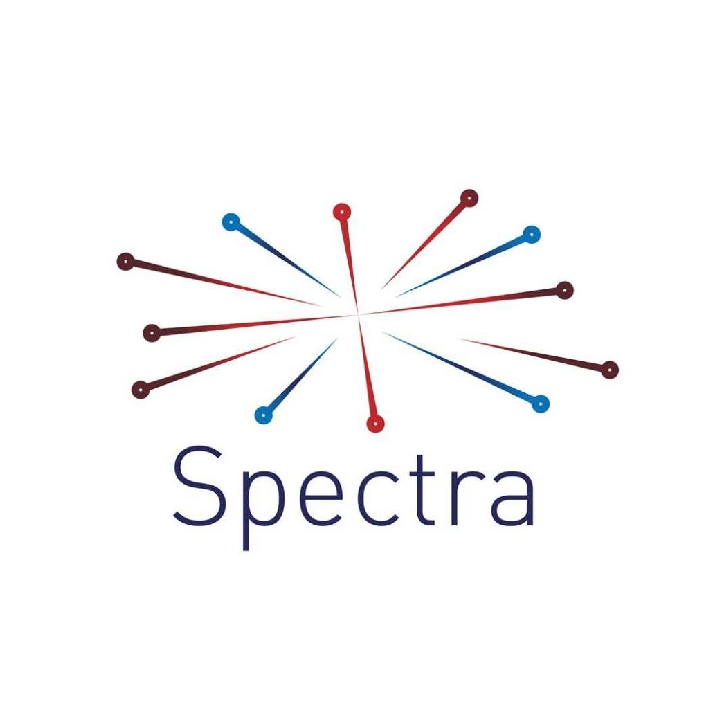 Image result for Spectra DMC