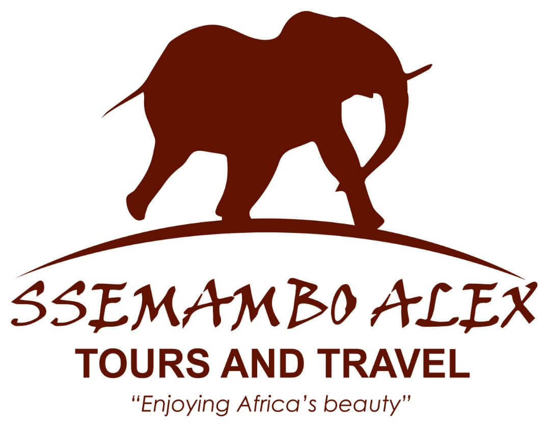 Image result for Ssemambo Alex Tours & Travel