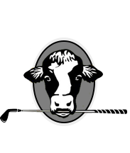 Image result for Stonewall Links