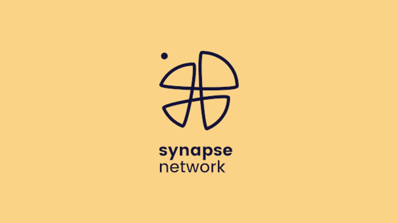 Image result for Synapse Network