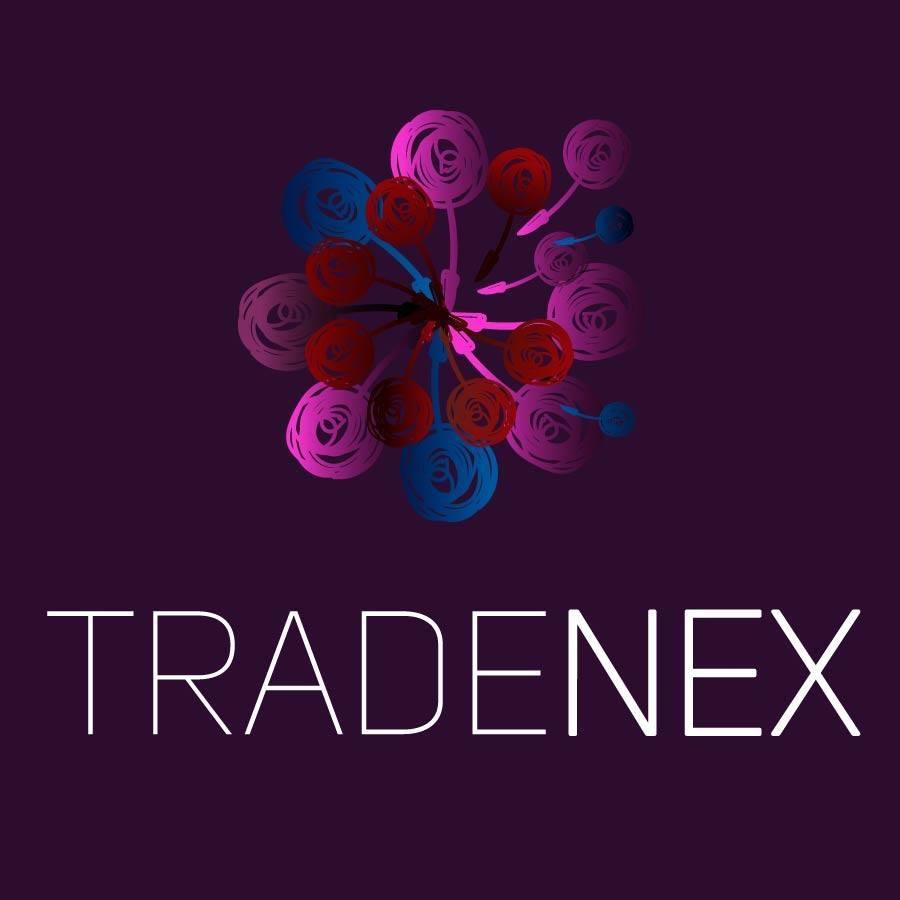 Image result for TRADENEX SPRL