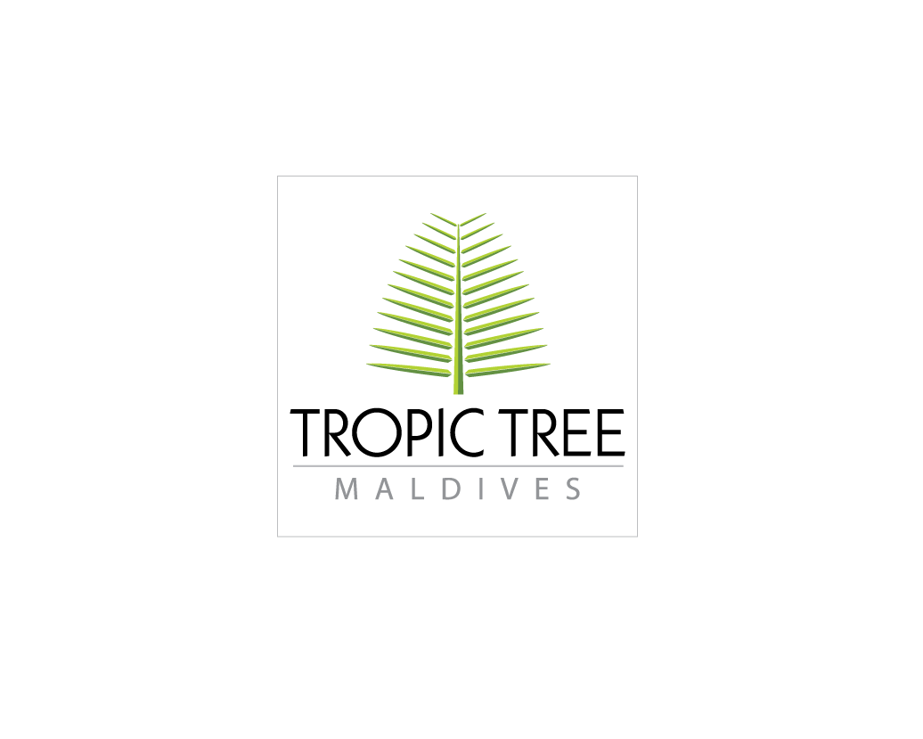 Image result for TROPIC TREE