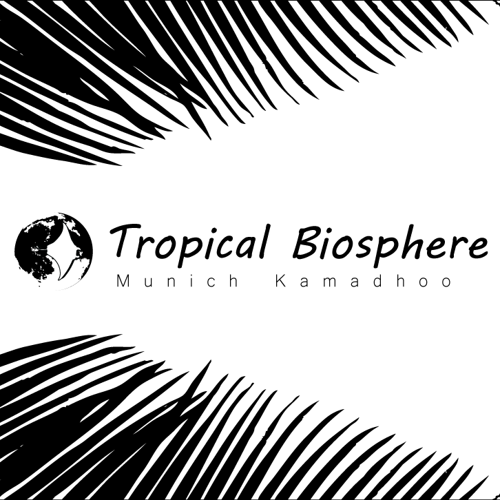 Image result for TROPICAL BIOSPHERE
