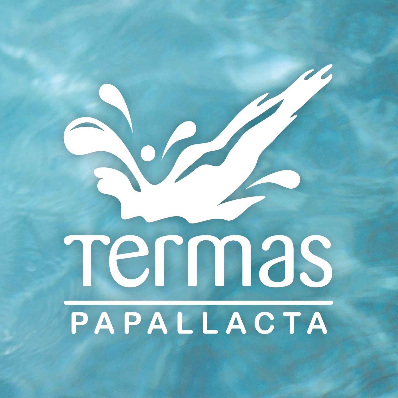 Image result for Termas de Papallacta
