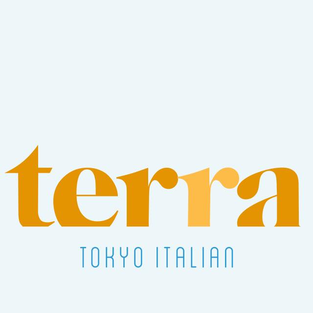 Image result for Terra