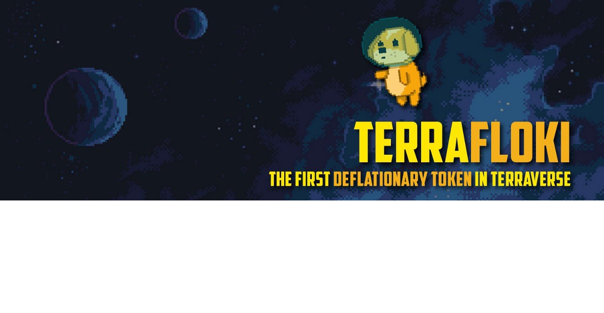 Image result for TerraFloki