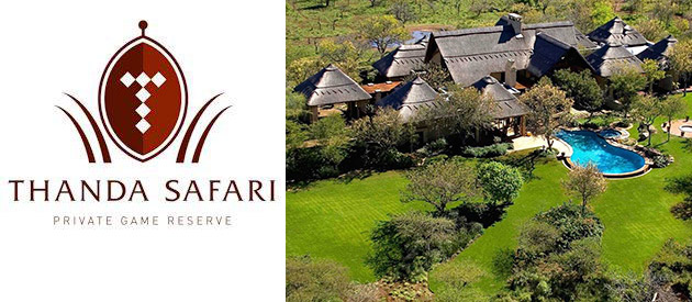 Image result for Thanda Safari Lodge at Thanda Safari, South Africa