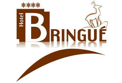 Image result for The Bringué Hotel
