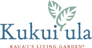 Image result for The Club at Kukuiula