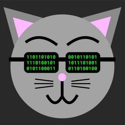 Image result for The Coder Cat