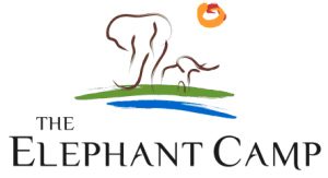 Image result for The Elephant Camp