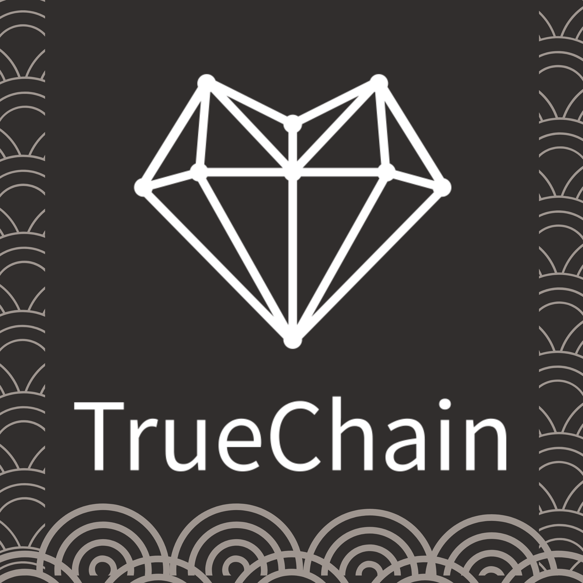 Image result for TrueChain