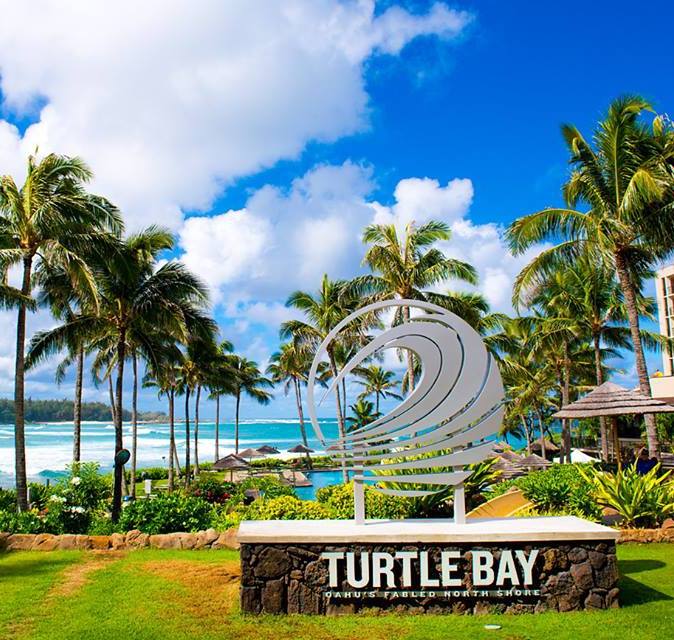 Image result for Turtle Bay Resort