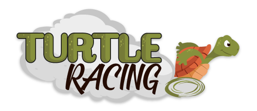 Image result for Turtle Racing