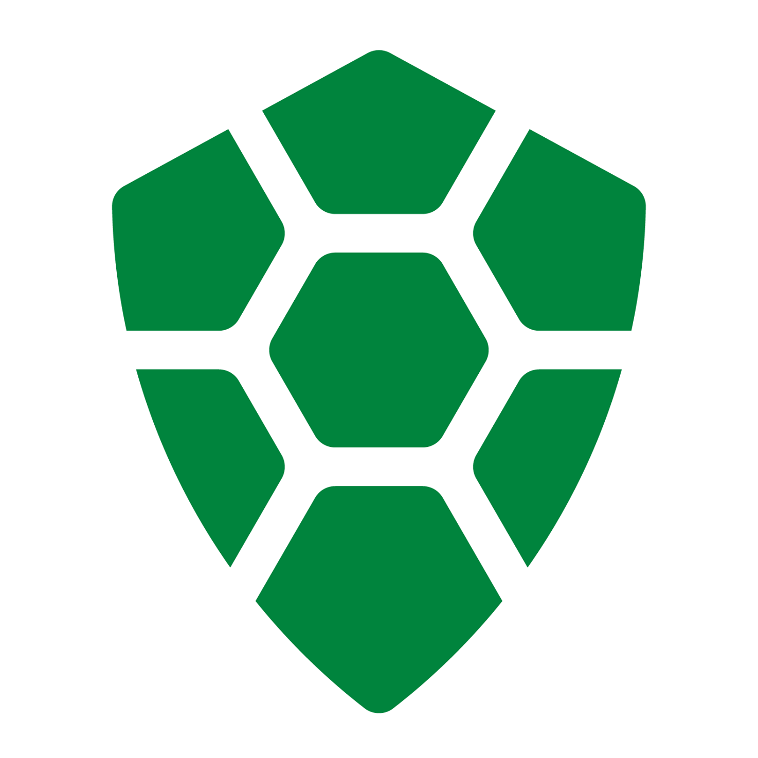 Image result for TurtleCoin