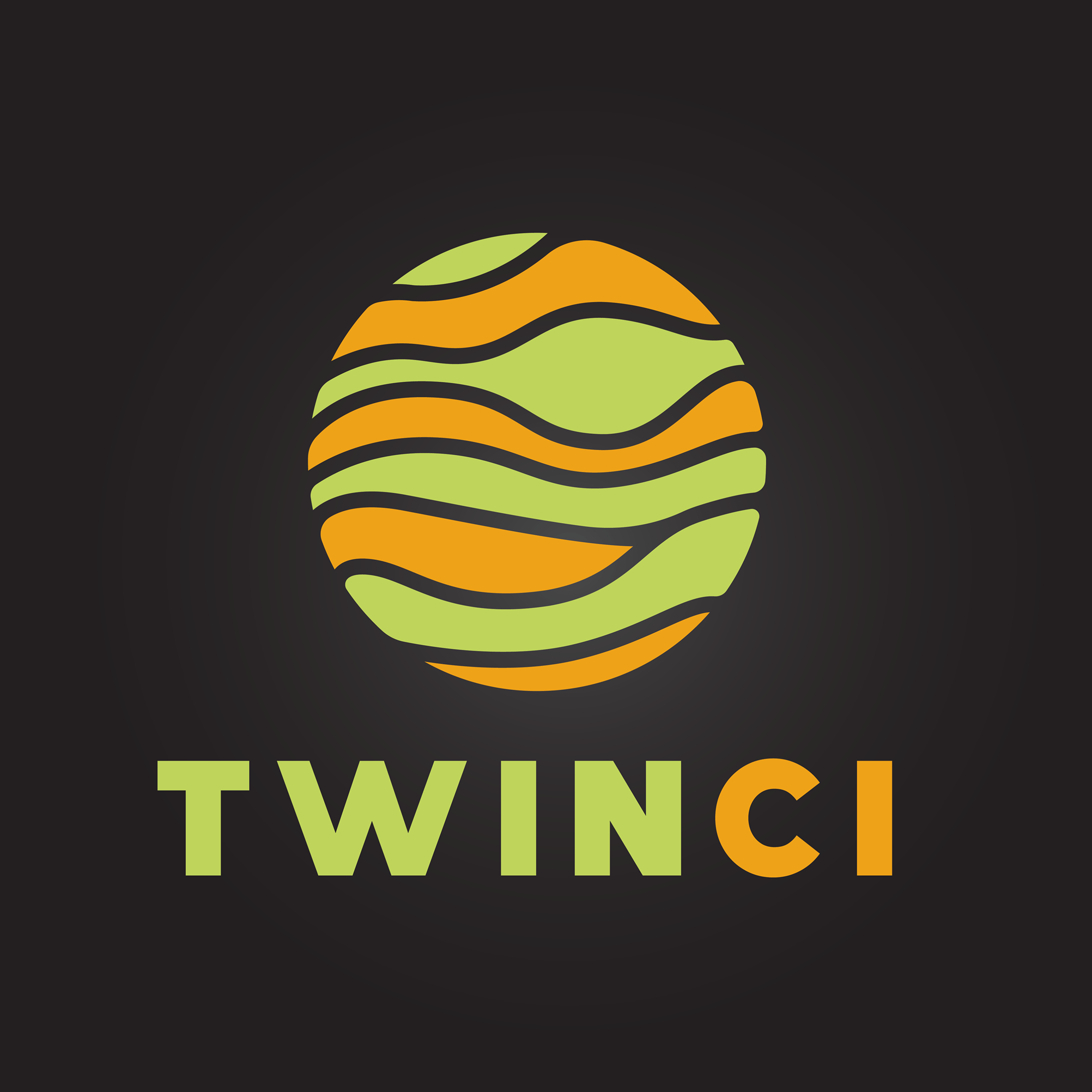 Image result for Twinci