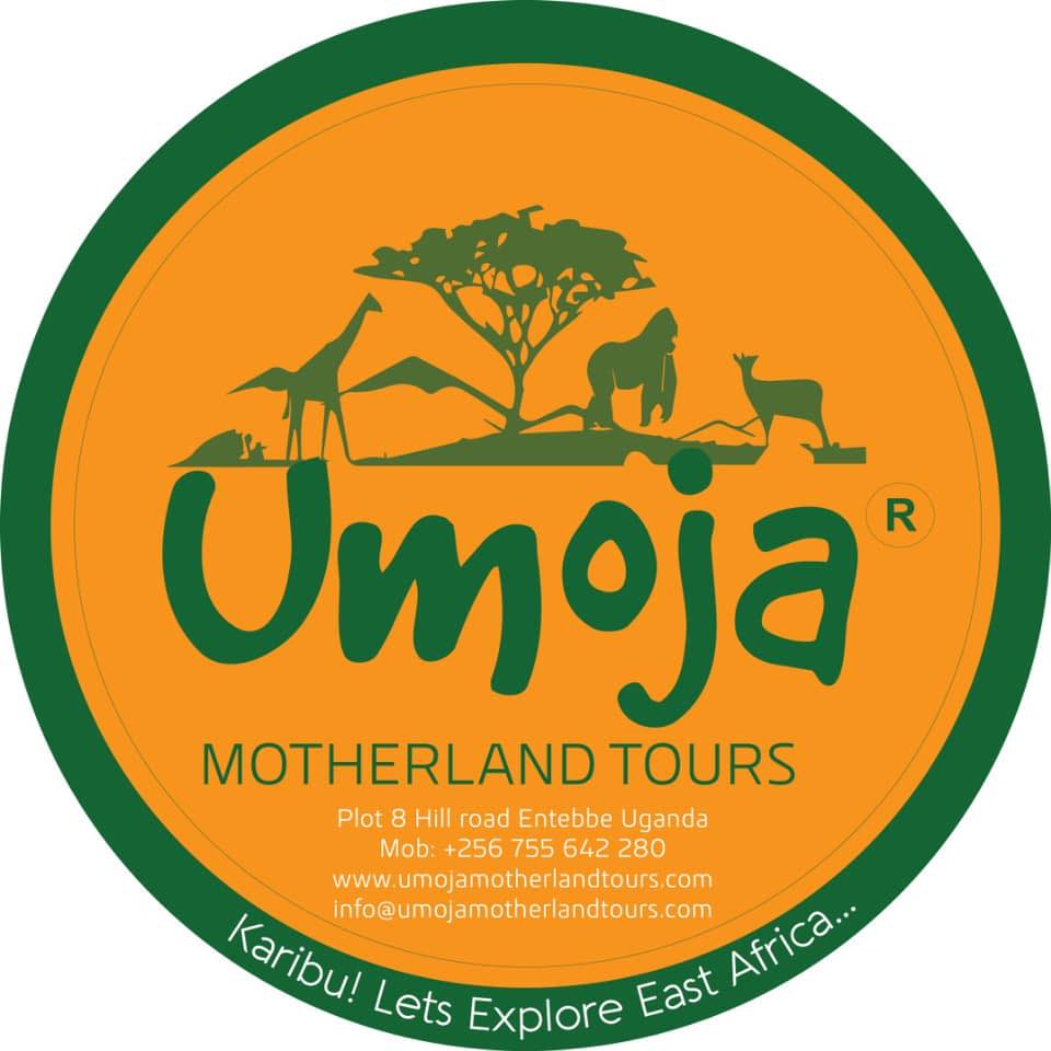 Image result for Umoja Motherland Tours Limited