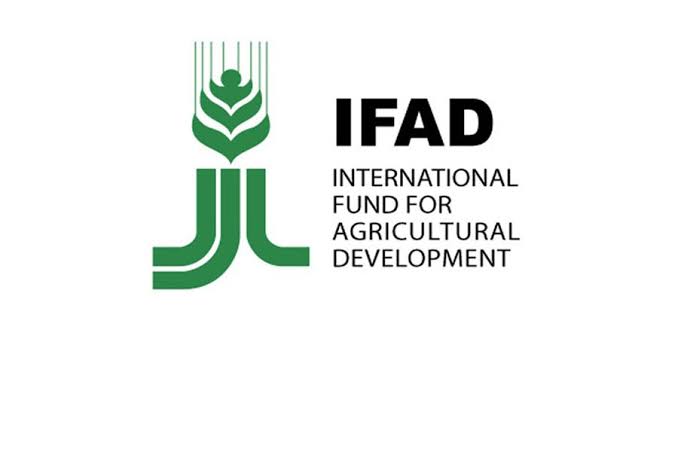 Image result for United Nationa IFAD