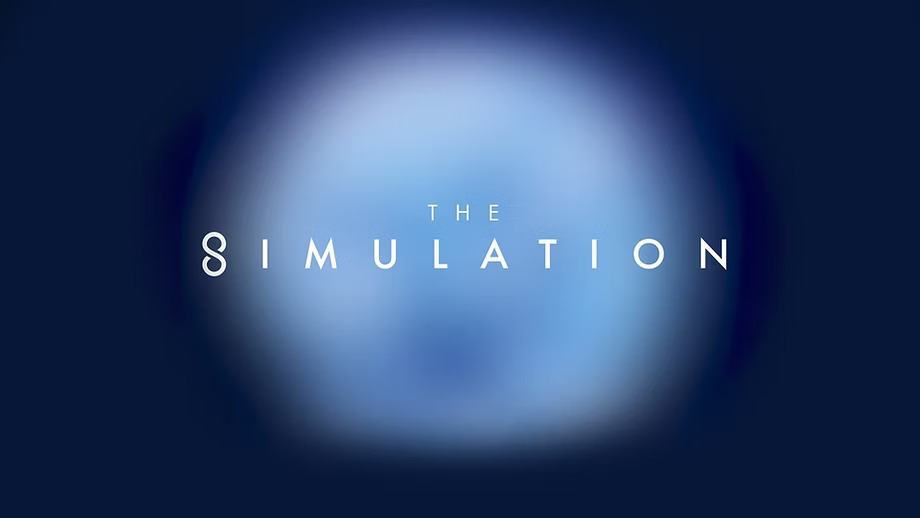 Image result for The Simulation