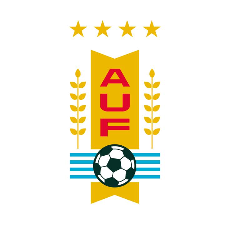 Image result for Uruguayan Football Association