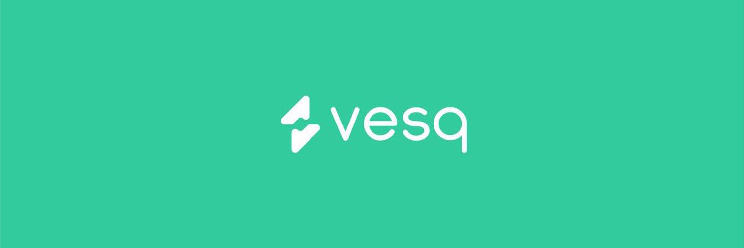 Image result for VESQ