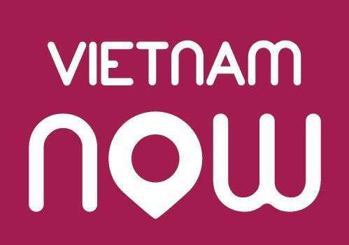 Image result for Vietnam Now Network