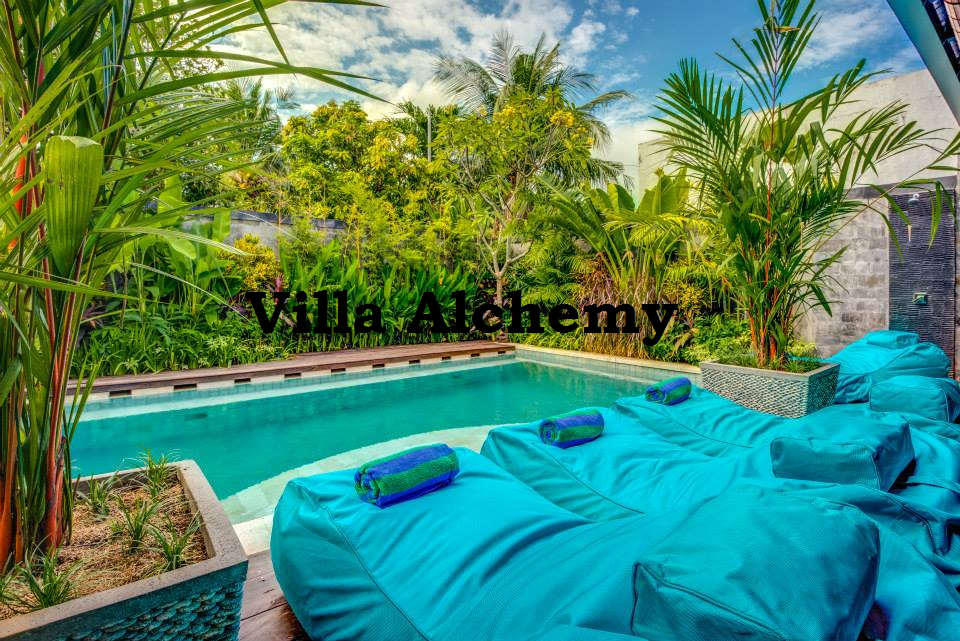 Image result for Villa Alchemy 