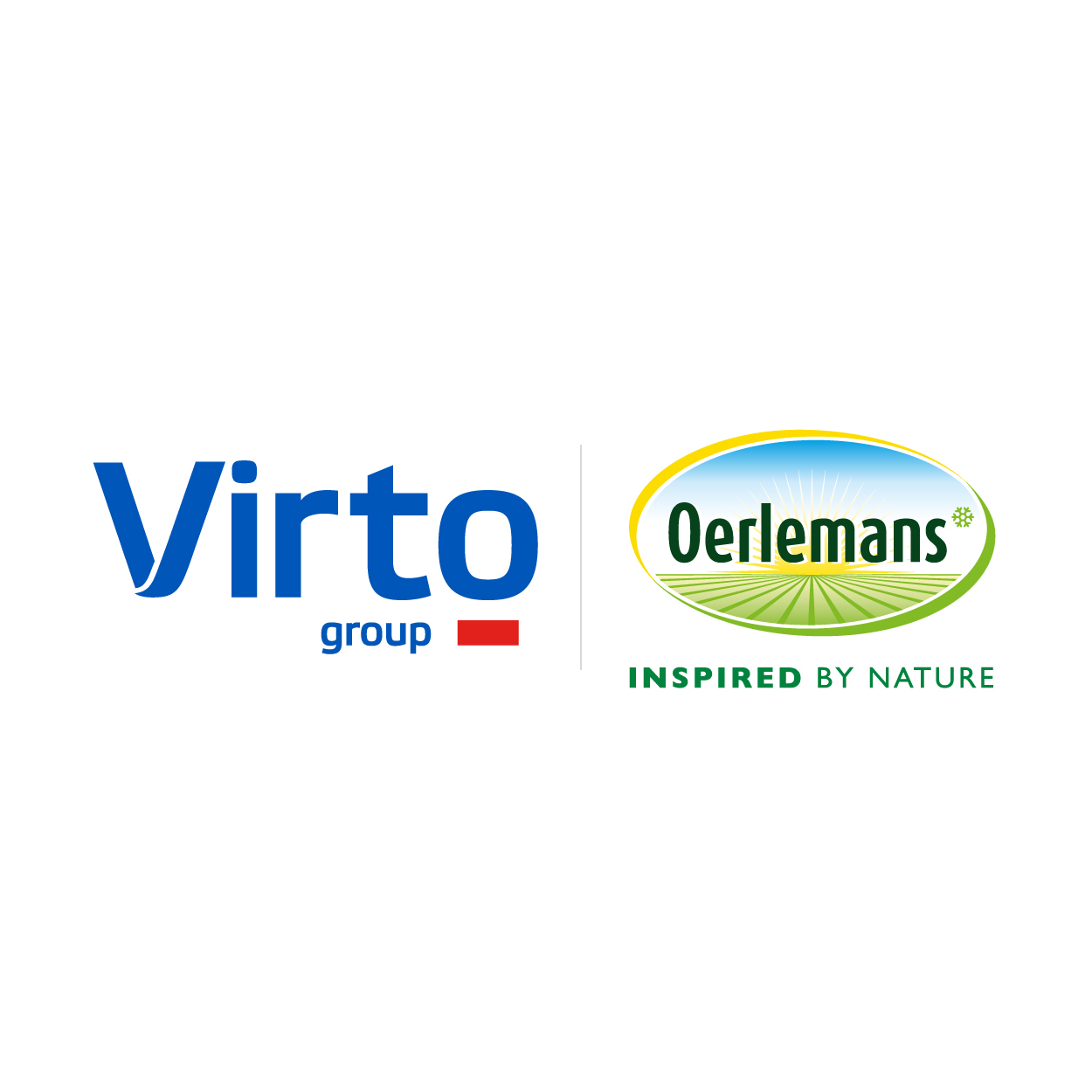 Image result for Virto Group