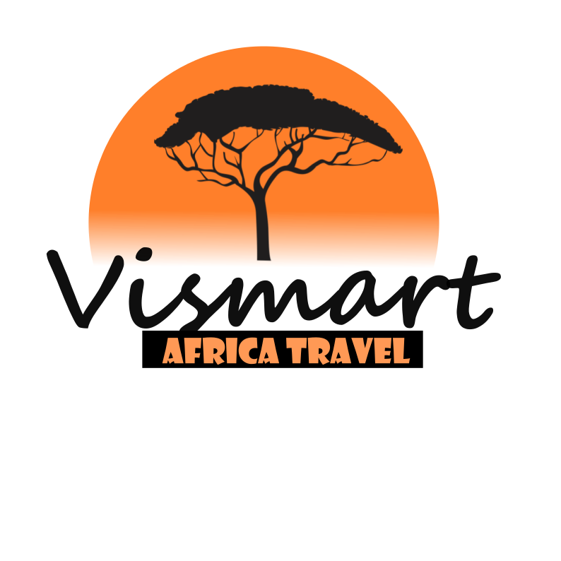 Image result for Vismart Africa Ltd