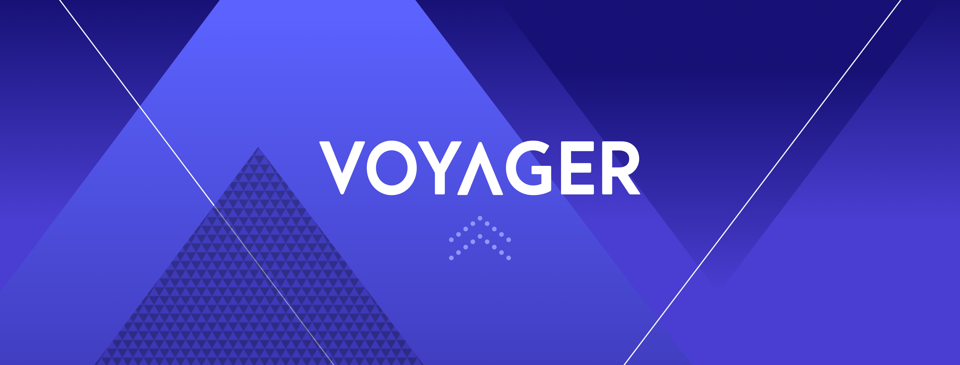 Image result for Voyager Token